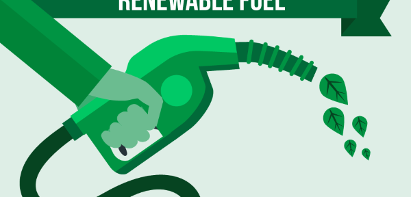 FTA welcomes report on renewable fuels