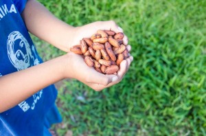 cocoa1 