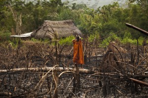 deforestation-in-Amazon-rainforest